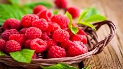 La producción mundial de frambuesa alcanzó los 920 millones de toneladas en 2024