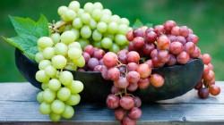 Macro Región Norte representa el 73.69% de las exportaciones peruanas de uva de mesa