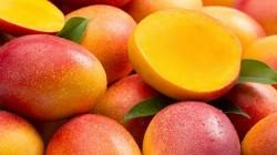 Más del 60% del mango orgánico peruano se destina a Estados Unidos