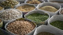 Menestras peruanas: superalimentos que conquistan mercados internacionales