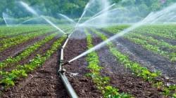 Midagri aprobó reglamento de Ley de Riego Tecnificado