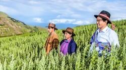 Midagri entregó S/ 628 millones en créditos a través del Fondo AgroPerú