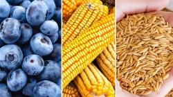 Midagri: Sector agropecuario se recupera y crece 3.4% en agosto