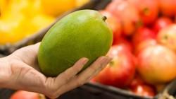 NMB: volumen de venta de mangos en Estados Unidos creció 5.1% en 2023