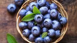 Oferta frutícola peruana se presenta por primera vez en  la Shanghai International Fruit Expo
