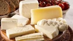 Oxapampa exhibe lo mejor de sus quesos y lácteos artesanales en el Salón del Queso Peruano 2025