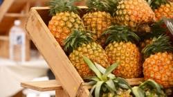 Perú abre su mercado para la importación de piña desde Ecuador