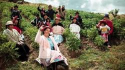 Perú cuenta con 1.035 cooperativas agrarias formalizadas