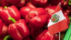 Perú es uno de los centros de origen del ají