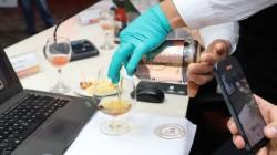 Perú exportó 567 productos agro en el 2024 