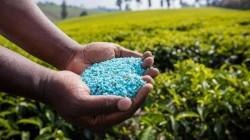 Perú: Importación de fertilizantes alcanzó los US$ 327 millones en la primera mitad del 2026