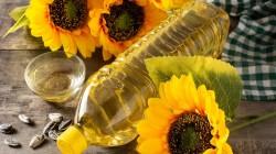 Perú importó más de US$ 12,6 millones en aceite de girasol entre enero y junio