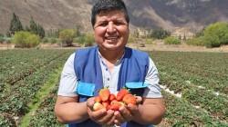 Perú logró 39 nuevos accesos de mercados clave para productos agropecuarios