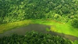 Perú presentará avances sobre conservación de la biodiversidad en la COP 16-Colombia