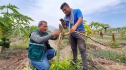 Presentan innovación en el Registro Nacional de Proveedores de Extensión Agropecuaria
