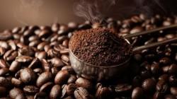 Producción de café peruano creció 19.6% en 2025