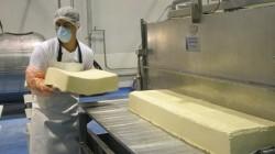 Producción de queso en Perú superaría las 159 mil toneladas este año