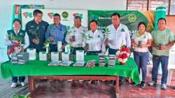 Producirán un millón de plantones forestales en Junín con fines comerciales en sistemas agroforestales