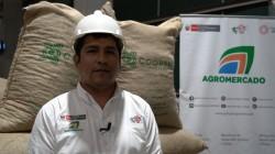 Productores de Madre de Dios exportan 25 toneladas de cacao en grano a Bélgica