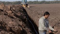 Rivulis lanza plataforma educativa para ayudar a los agricultores a elegir el sistema de riego adecuado para cultivos en hileras