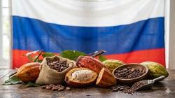 Rusia es una opotunidad de alto valor para el cacao peruano