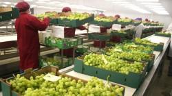 Superexternalidad y agroexportación