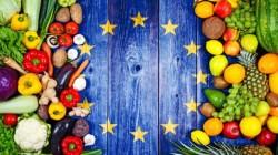 UE incrementa en 6% la producción de hortalizas frescas pero disminuyó en 2% la producción de frutas frescas