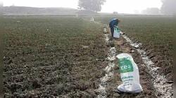 Urea se desploma hasta US$300 por tonelada tras récord histórico de abril