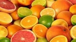 WCO: producción de cítricos del hemisferio sur alcanzaría las 26.409.093 toneladas en 2026